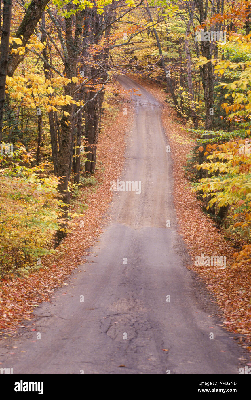 Una strada sterrata attraverso i boschi tacca Sandwich Road New Hampshire Foto Stock