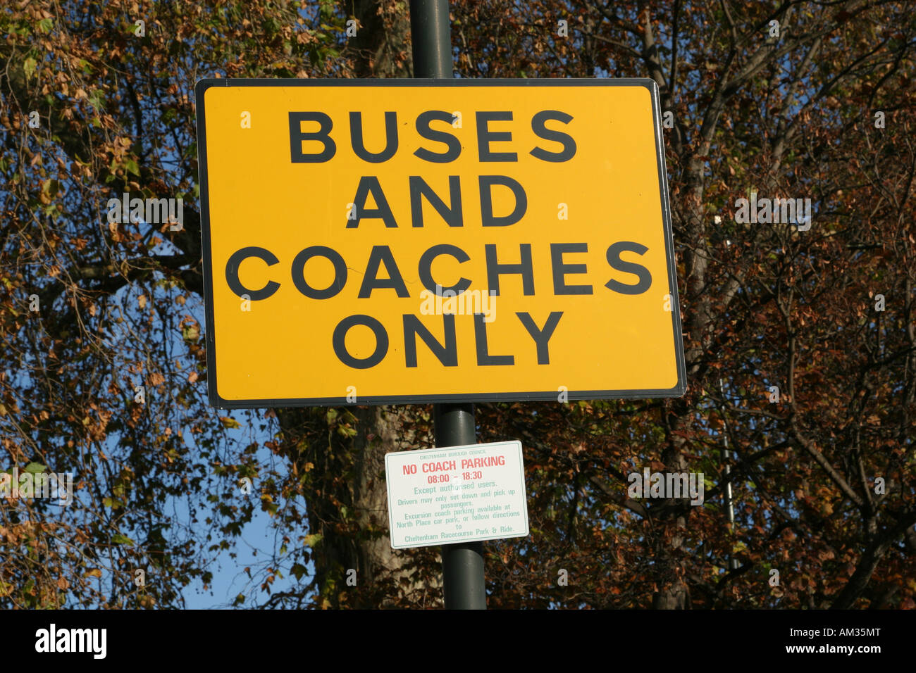 Il giallo del cartello che indica gli autobus e pullman solo Foto Stock