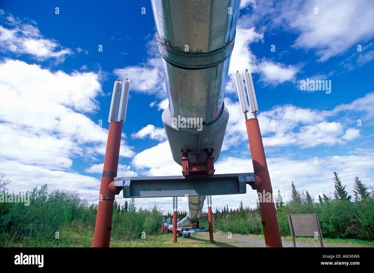 Trans Alaska Pipeline in Route 4 vicino a Paxson AK Foto Stock