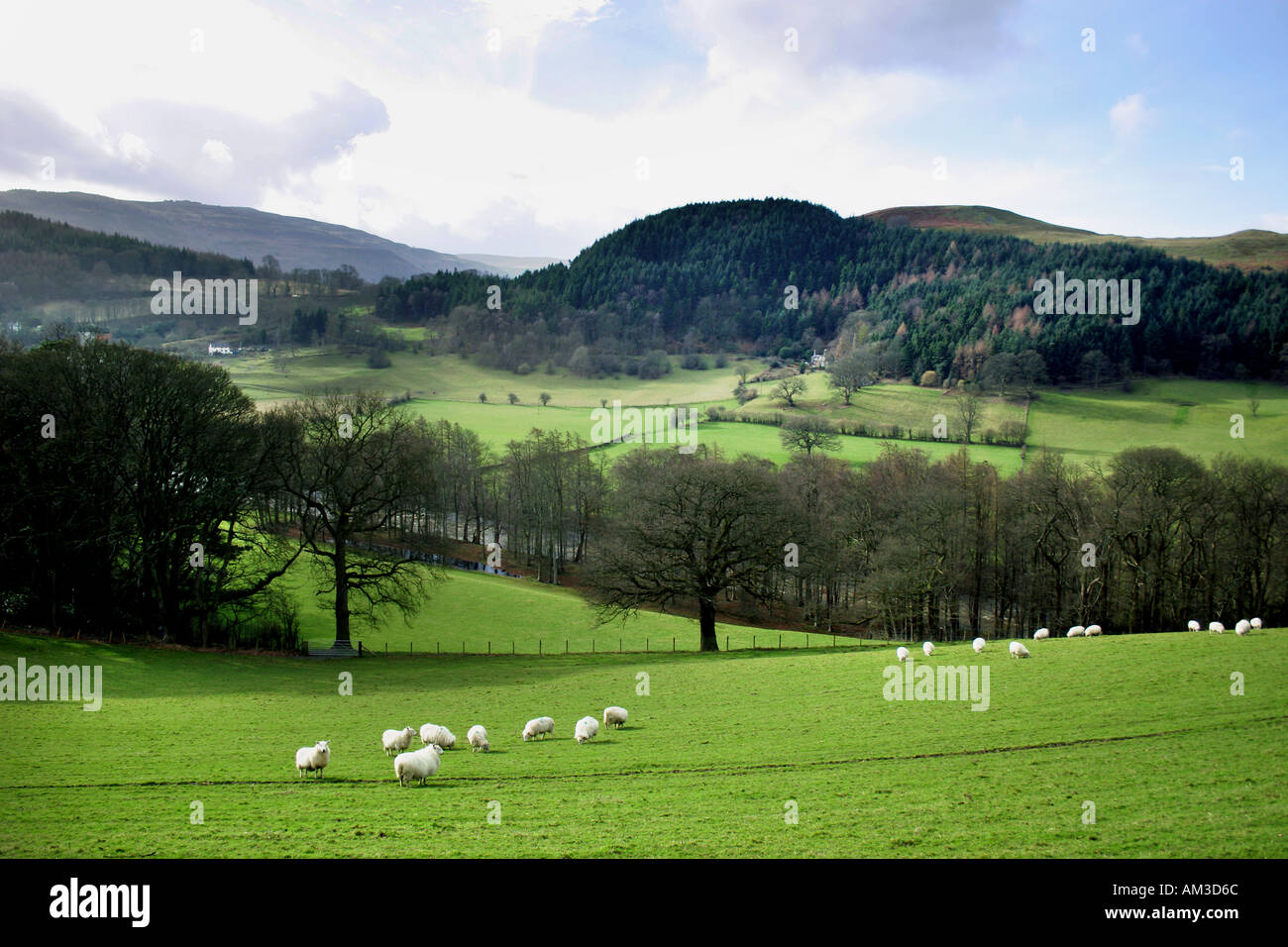 Scenic vista Gallese Foto Stock