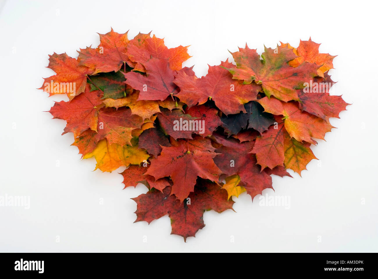 Cuore con harvest leafs Foto Stock