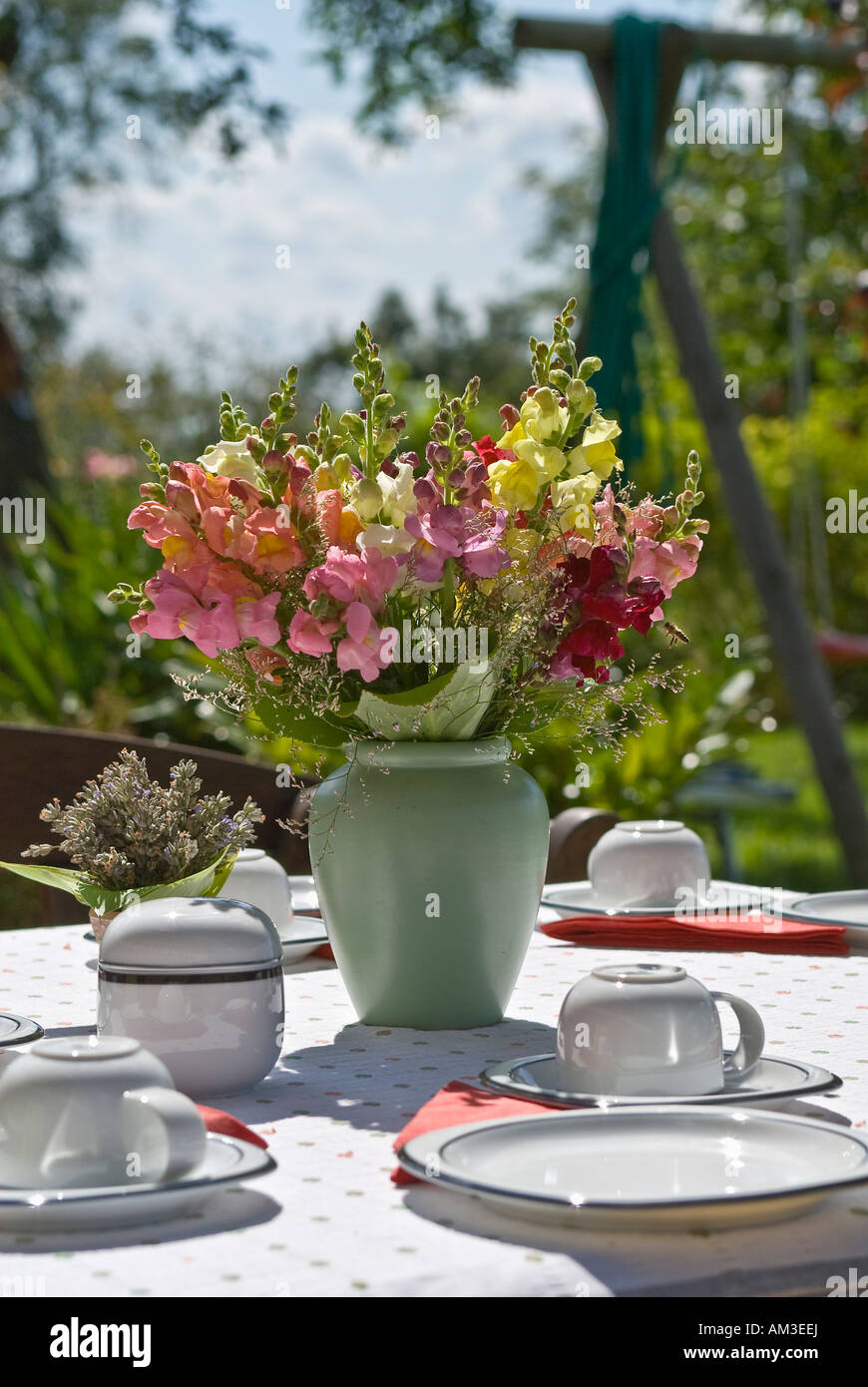 Ben prevista Tavolo da giardino con un mazzetto di bocche di leone (Antirrhinum) Foto Stock