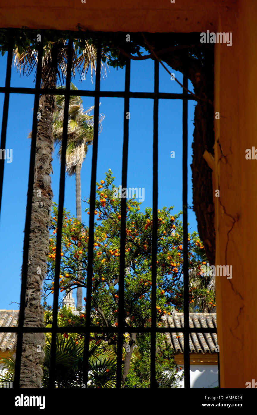 Spagna Andalusia Siviglia Reales Alcazares Gardens Foto Stock
