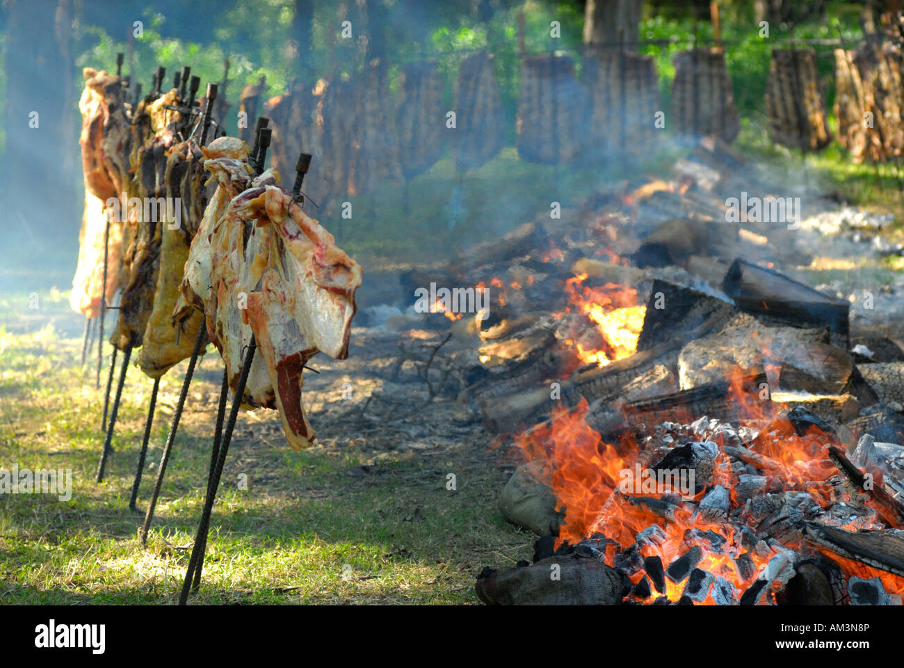 Il barbecue 'asado', Fiesta de la Tradición, San Antonio de Areco, Provincia de Buenos Aires, Argentina, Sud America Foto Stock