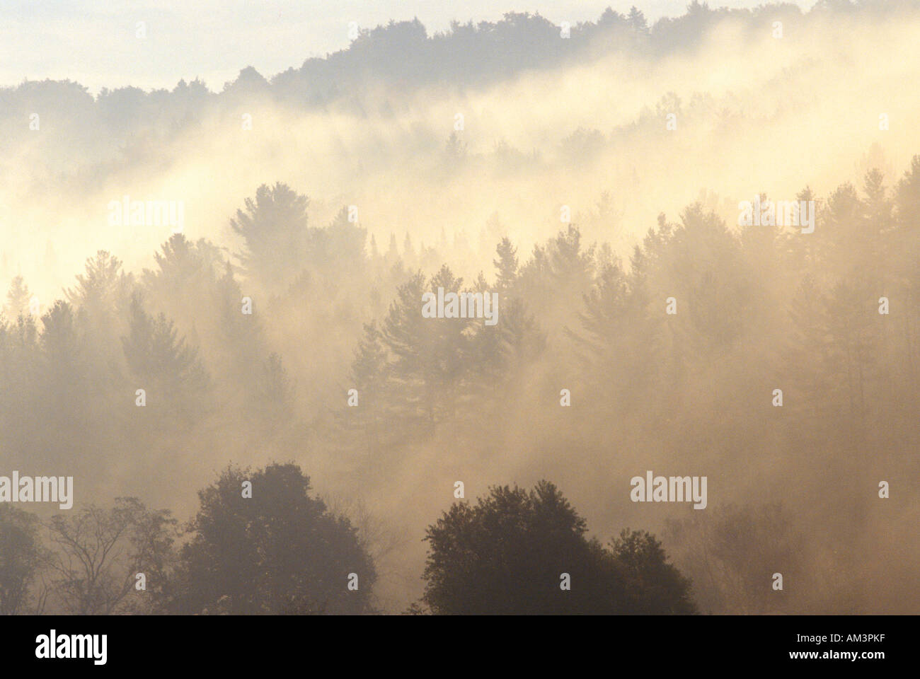 Nebbia di mattina su montagne VT Foto Stock