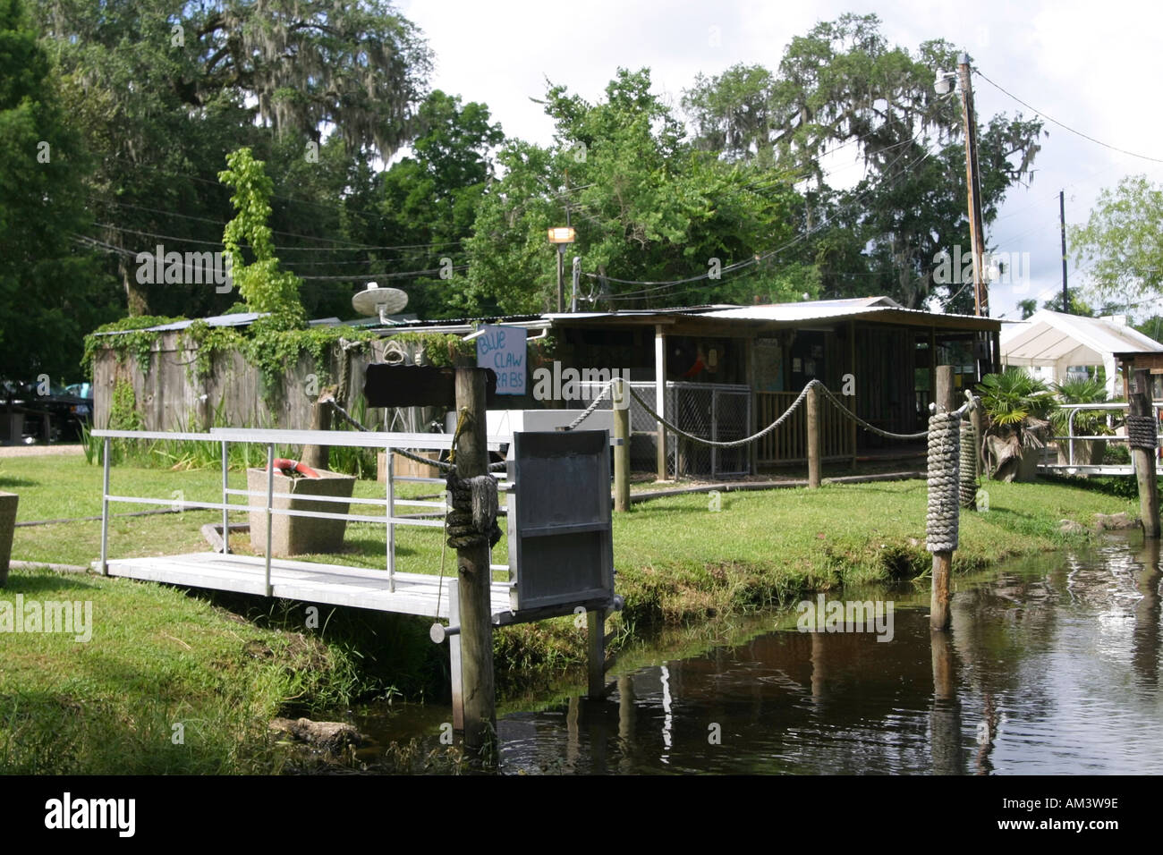 Il Bayou in Louisiana con alligatori Foto Stock