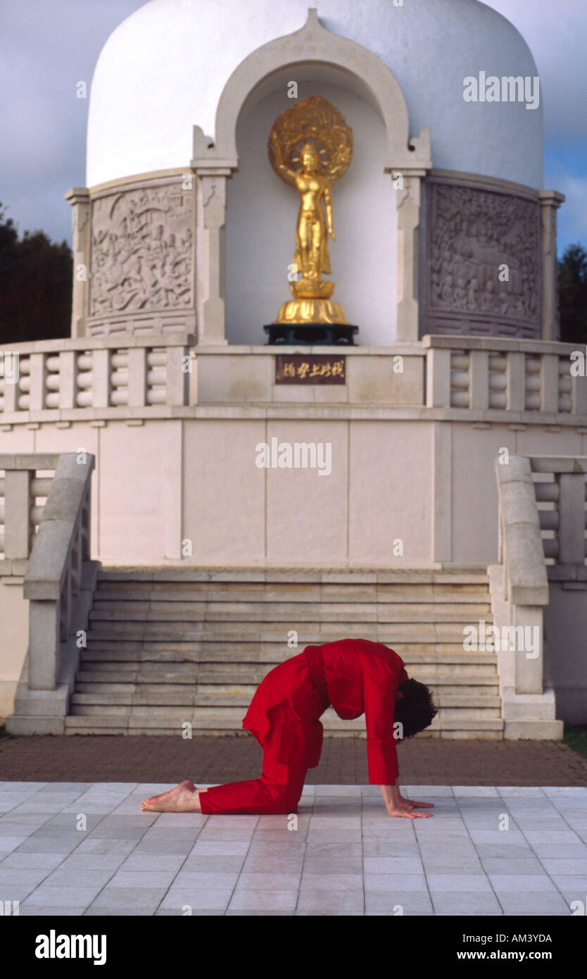 Carol Smith insegnante di Yoga facendo cat pongono Surya Namaskar Sun Salutations davanti al Milton Keynes P buddista Foto Stock