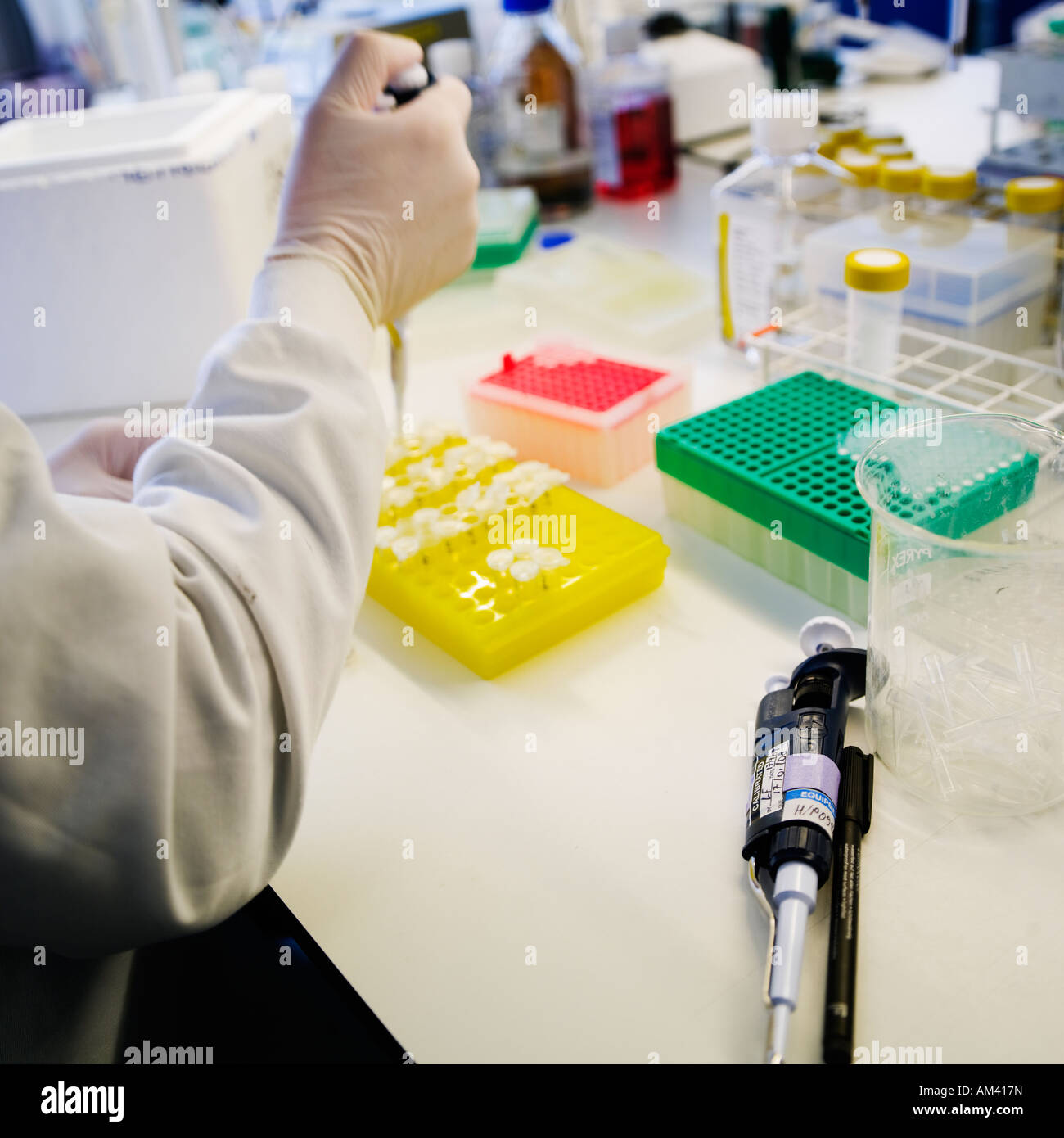 Il lavoro di laboratorio test clinici test di ricerca. Nessuna richiesta di release come faccia ritagliata in modo irriconoscibile persona in shot Foto Stock