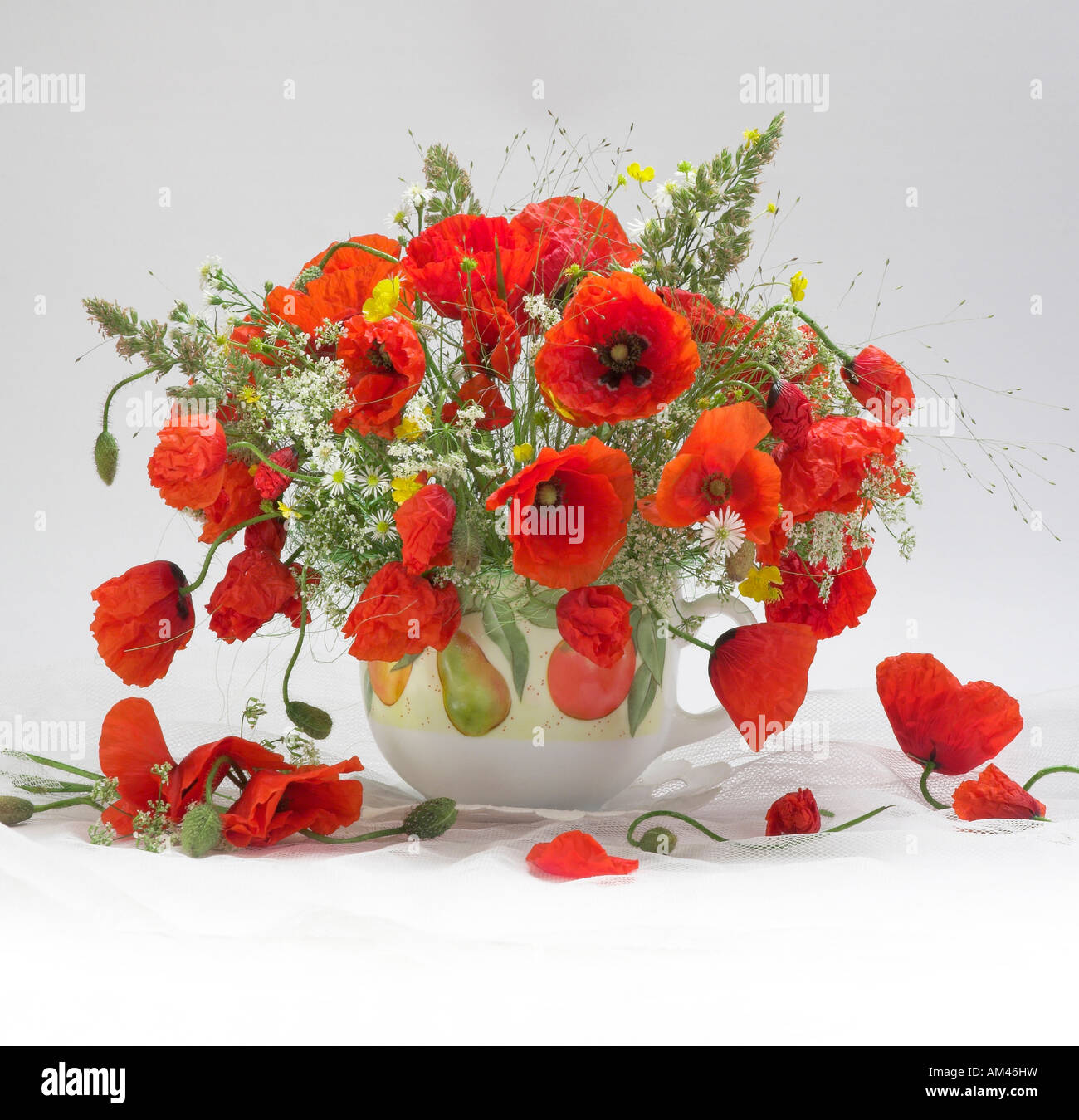 Studio disposti mazzetto bouquet di papaveri rossi fiori in un vaso su un bianco sfondo pastello Foto Stock