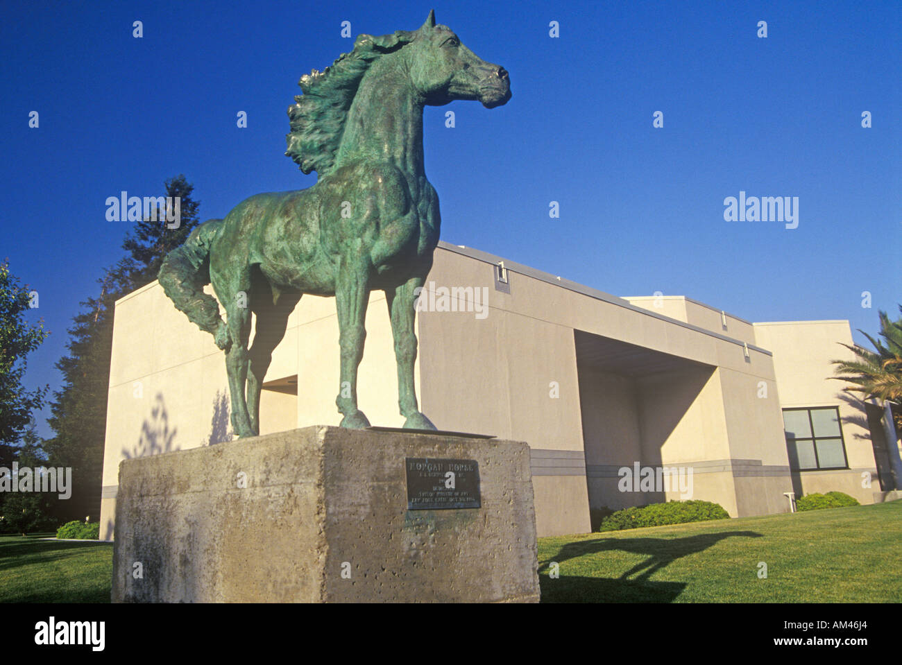 Scultura di cavallo al Triton Museo di Arte in Santa Clara Silicon Valley in California Foto Stock