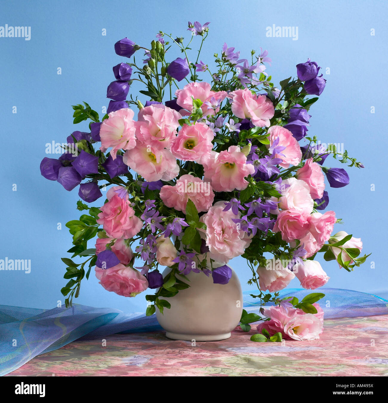 Studio disposti verticali colorati mazzo bouquet di anemoni rosa fiori in un vaso su un pastello sfondo blu Foto Stock
