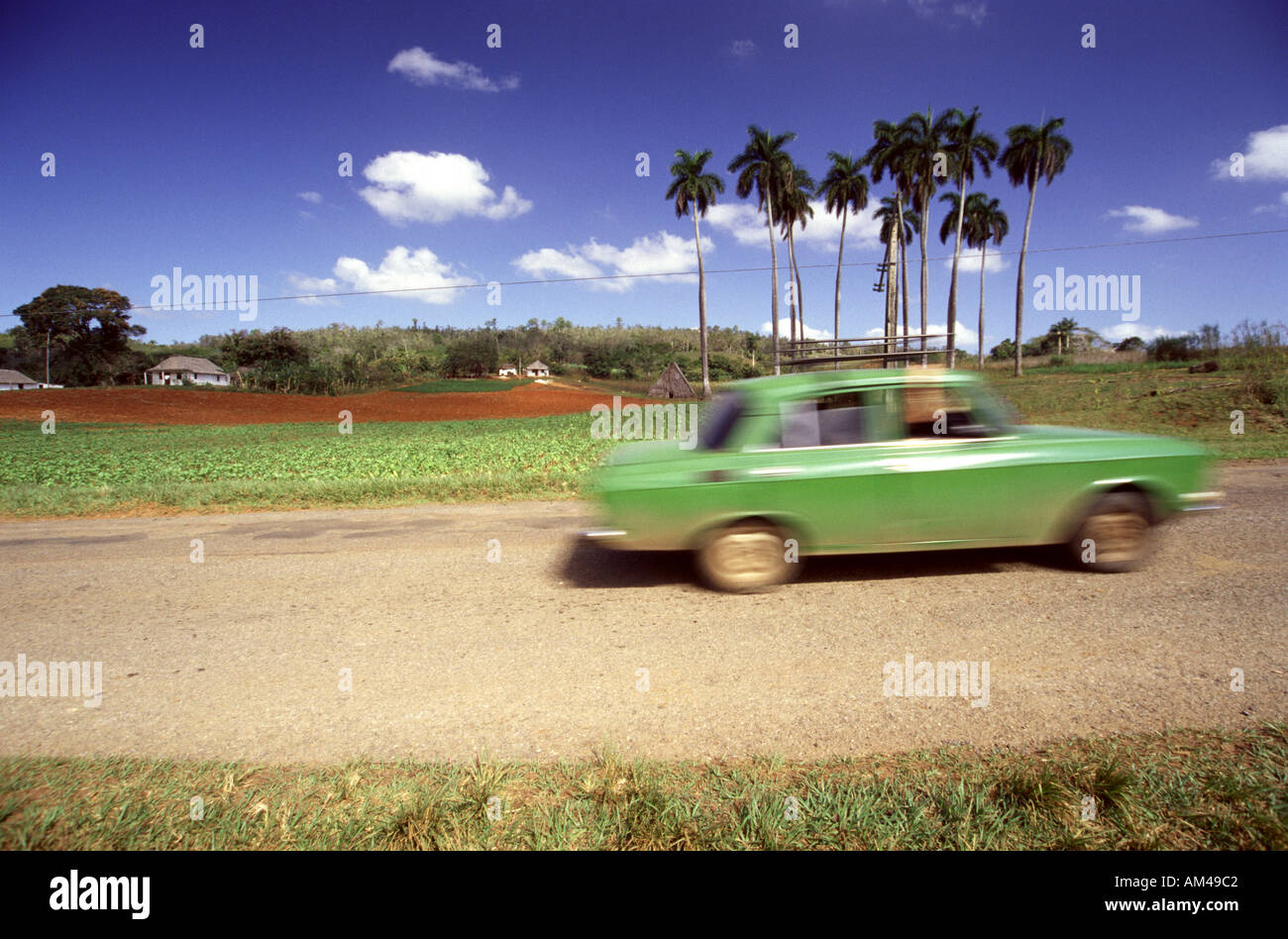 Per leafes sigars sigar, Fotografia di viaggio da Pinar del Rio Cuba Foto Stock