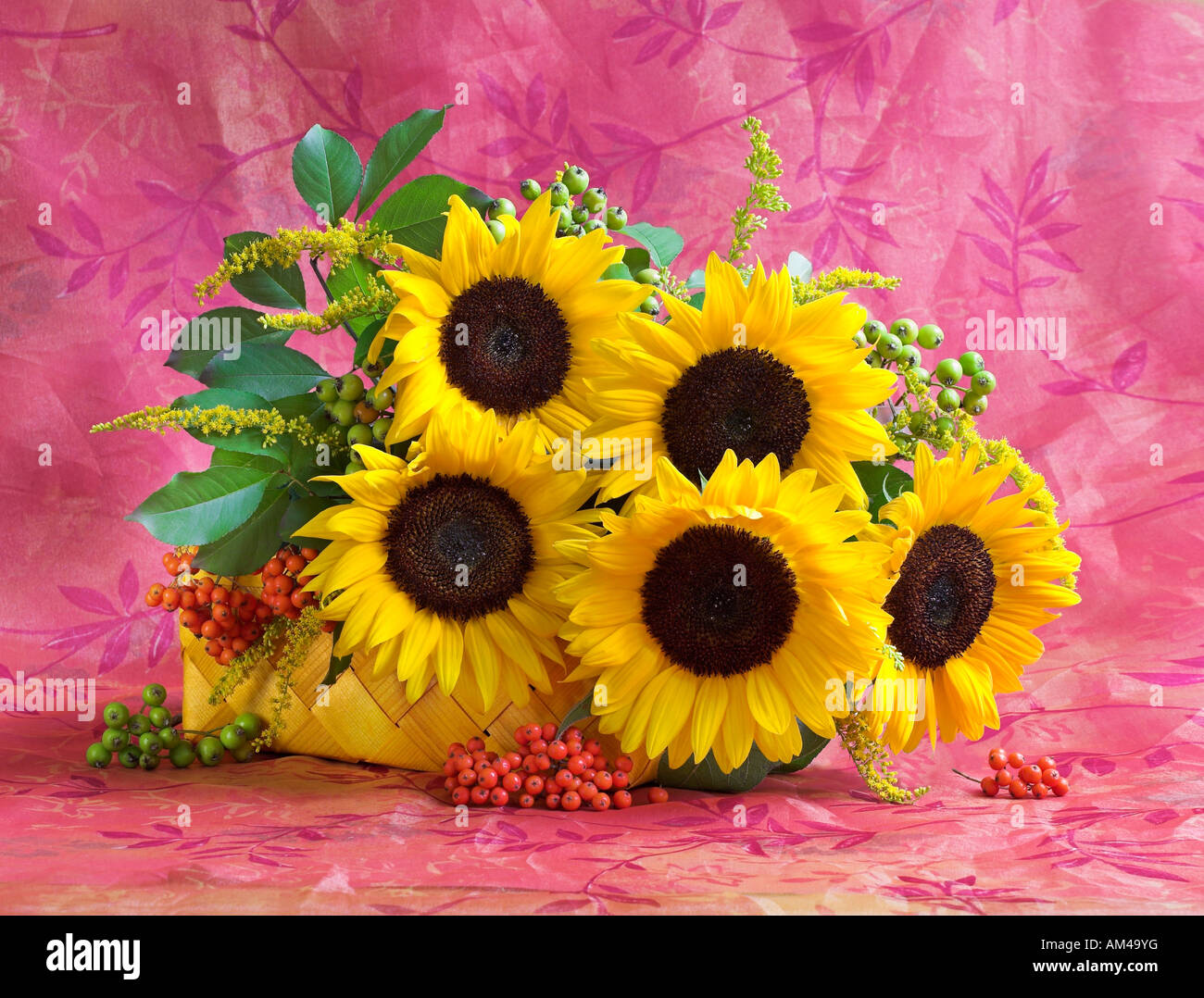 Studio disposti colorati mazzo bouquet di Girasole giallo su un pastello sfondo rosa Foto Stock