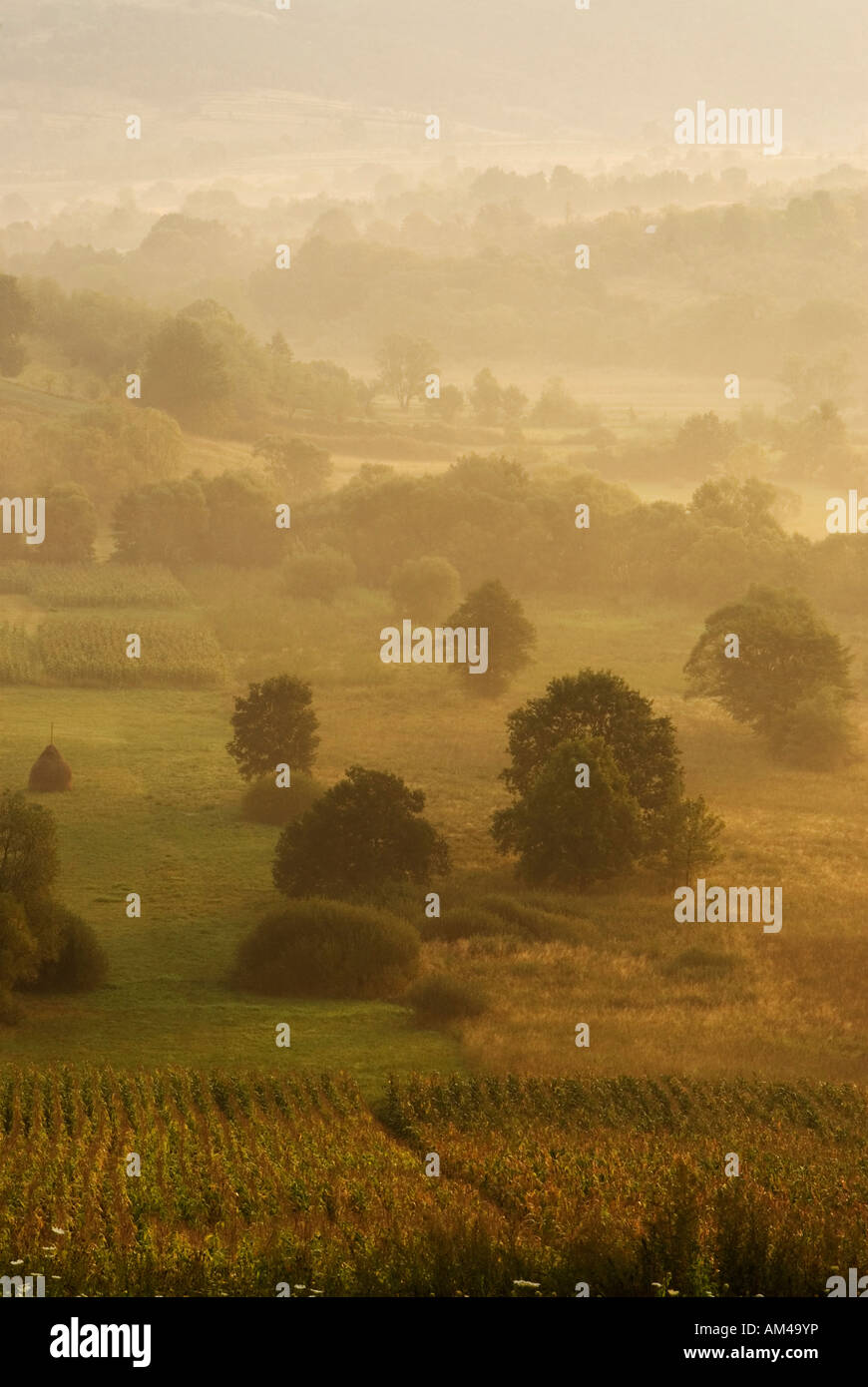 Campagna vicino a Curtea de Arges, Valacchia, Romania Foto Stock