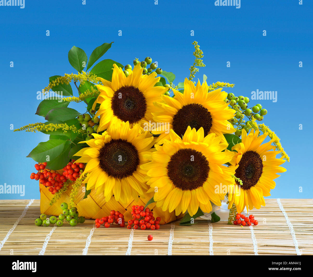 Studio disposti mazzetto giallo bouquet di girasoli nel cesto su un pastello blu sullo sfondo Foto Stock