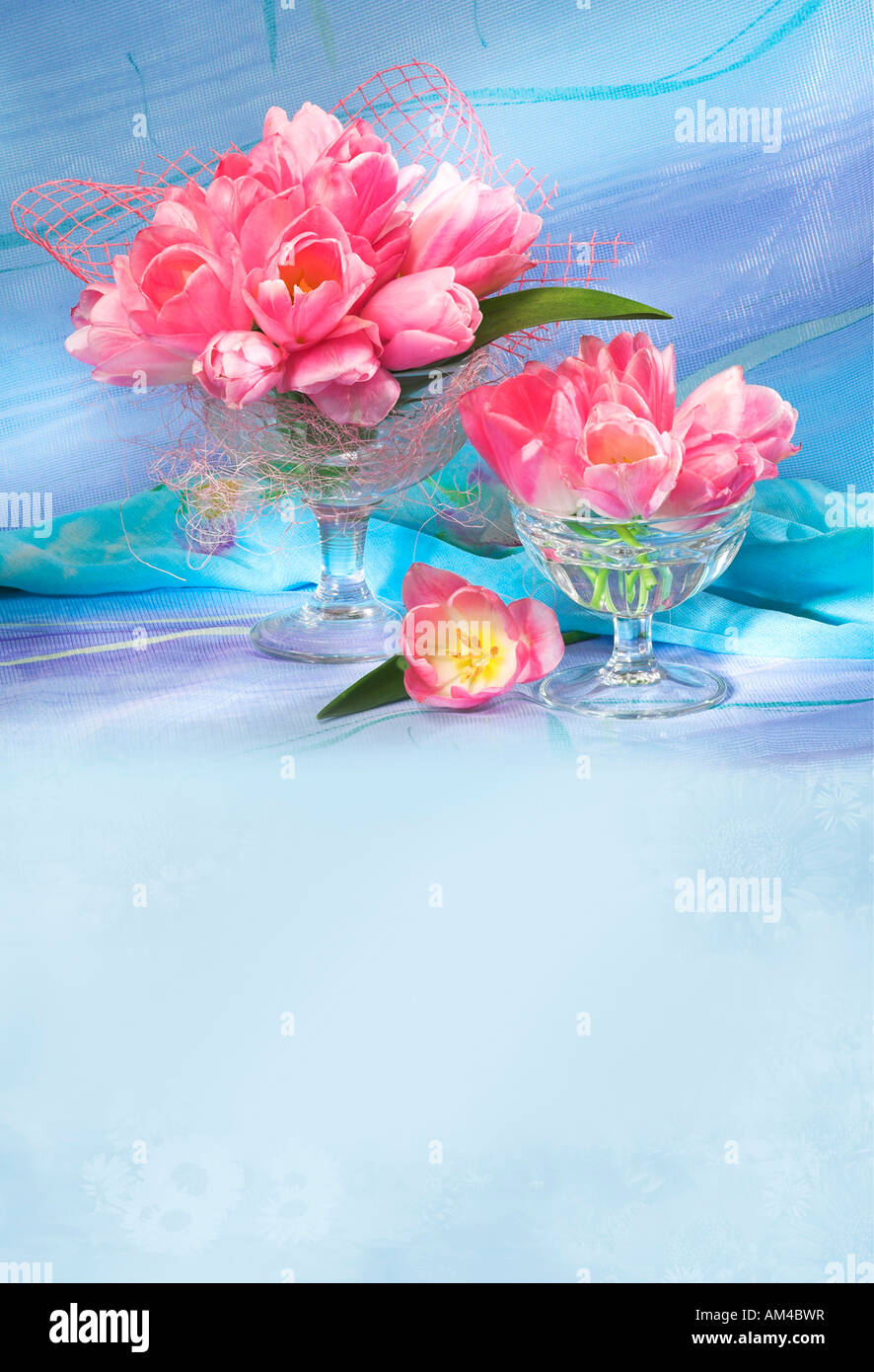 Studio disposti colorati mazzo bouquet di primavera in fiore i tulipani fiori su uno sfondo color pastello Foto Stock