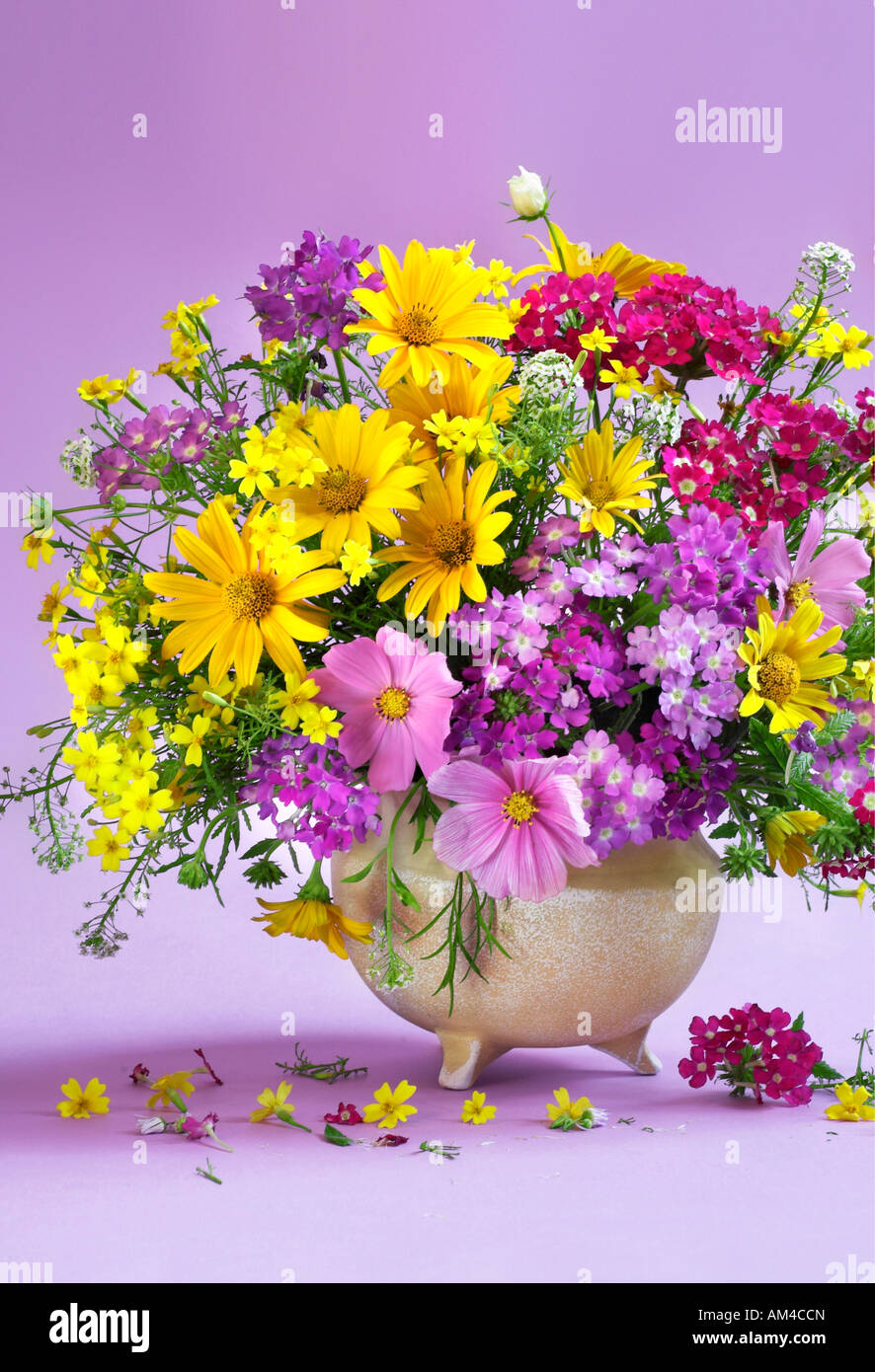 Studio disposti verticali di colore giallo e rosso a grappolo bouquet di fiori in un vaso su un viola sfondo pastello Foto Stock