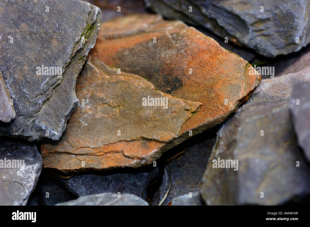 Primo piano di pezzi di roccia argillosa,utilizzato per realizzare un percorso di giardino. Foto Stock