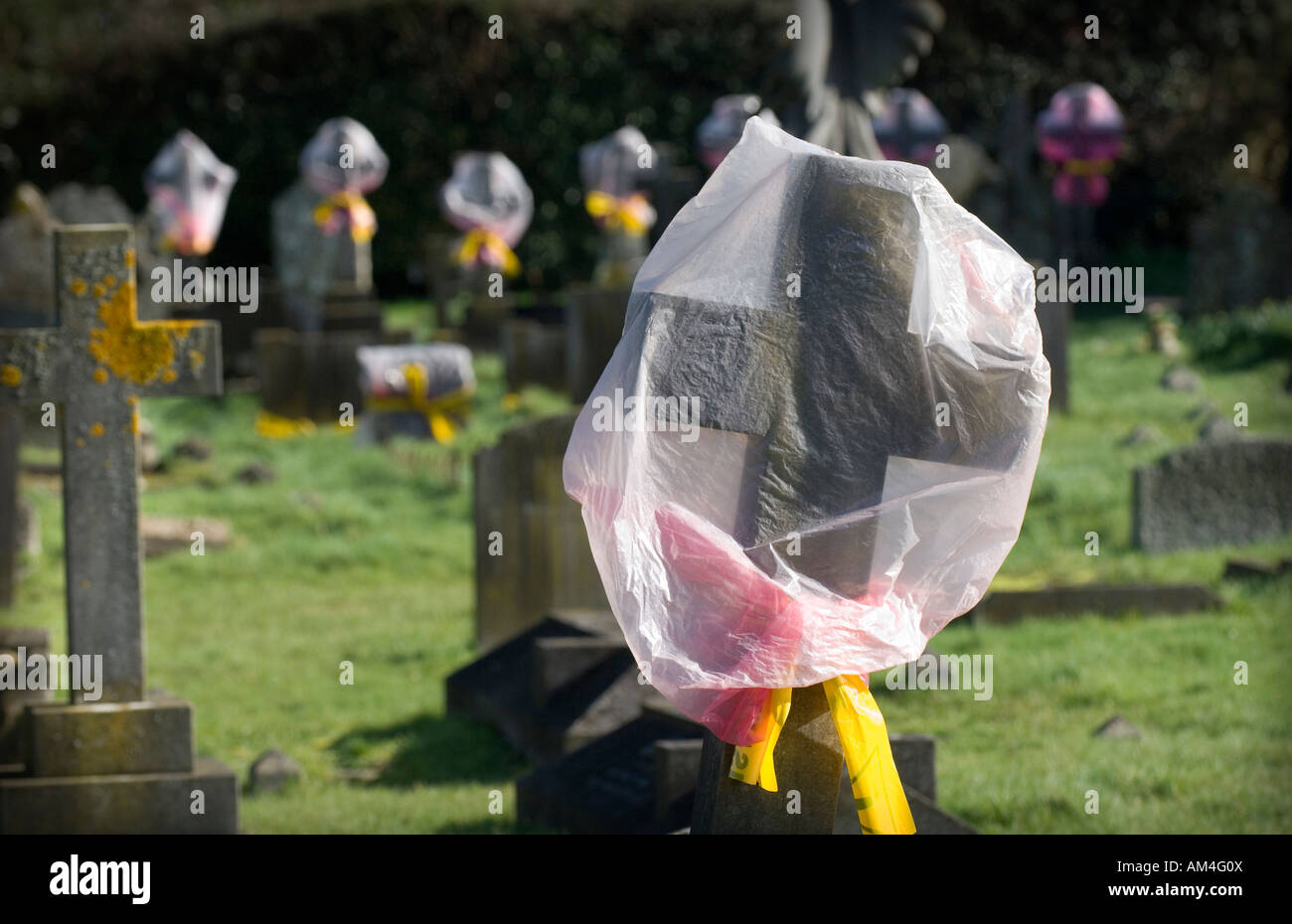Le misure di salute e sicurezza lascia pericoloso lapidi nel cimitero contrassegnati con scomparto di rosa le camicie Uckfield East Sussex. Foto Stock