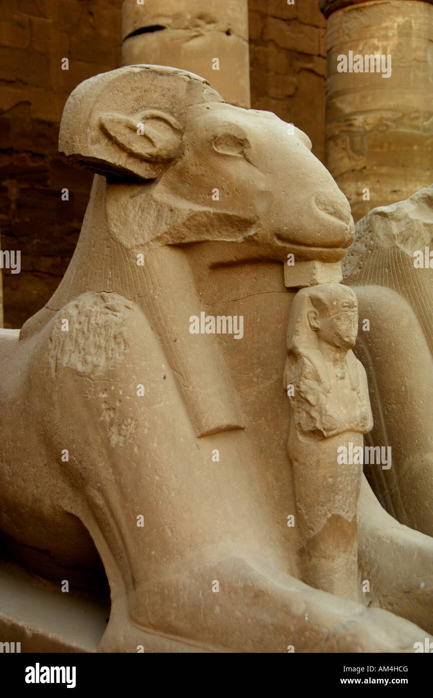 Sphinx tempio di Karnak Egitto Nord Africa Foto Stock