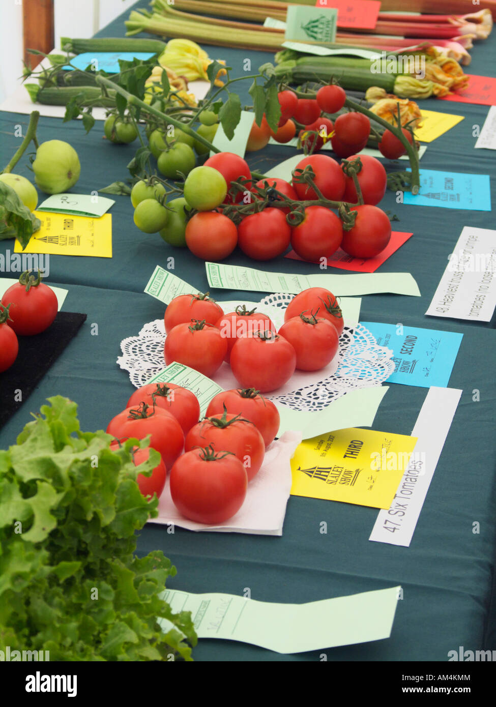 Pomodori rossi sulla visualizzazione in una classe di concorso all'Slaley spettacolo agricolo, Northumberland, England, Regno Unito Foto Stock
