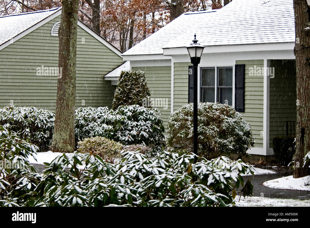 Prima nevicata sul prossimo inverno in Massachusetts Foto Stock