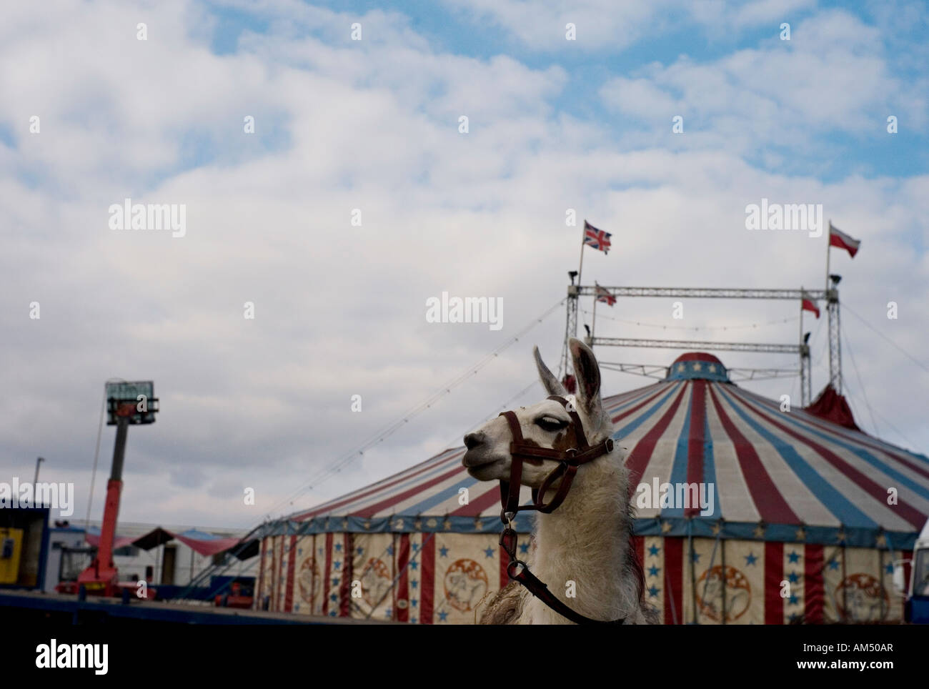 Circus big top tenda Foto Stock