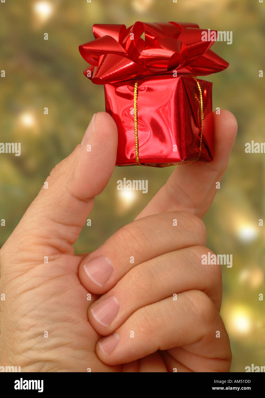 Un piccolo regalo di Natale tenuto in una mano da un albero di Natale Foto Stock