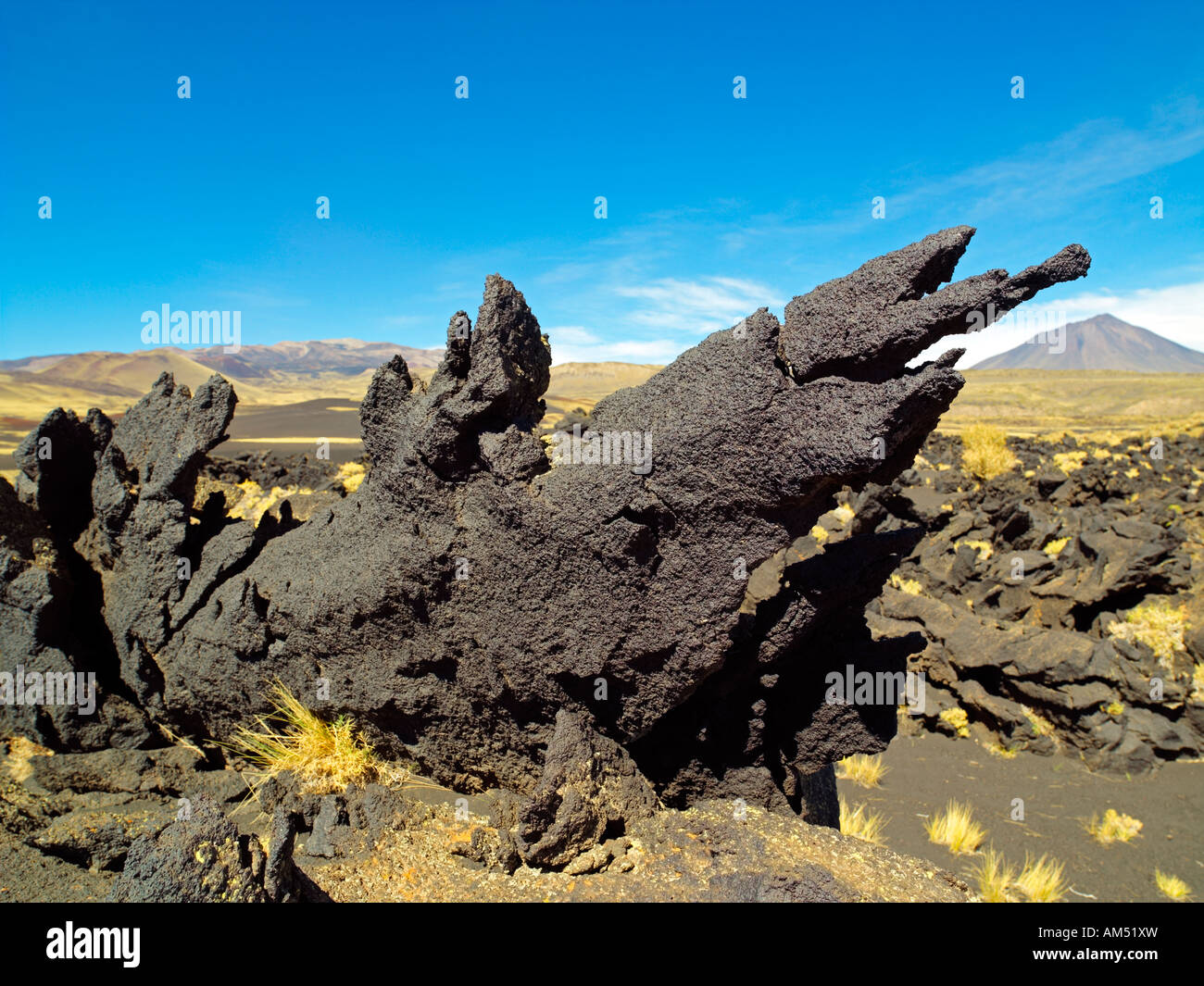 Surreale strutture di roccia in riserva Payunia, Malargue Reparto, provincia di Mendoza, Argentina Foto Stock