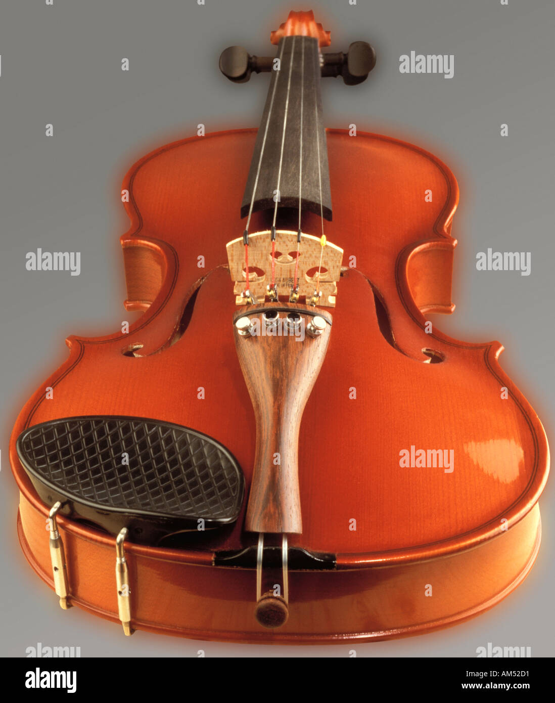 un violino Foto Stock