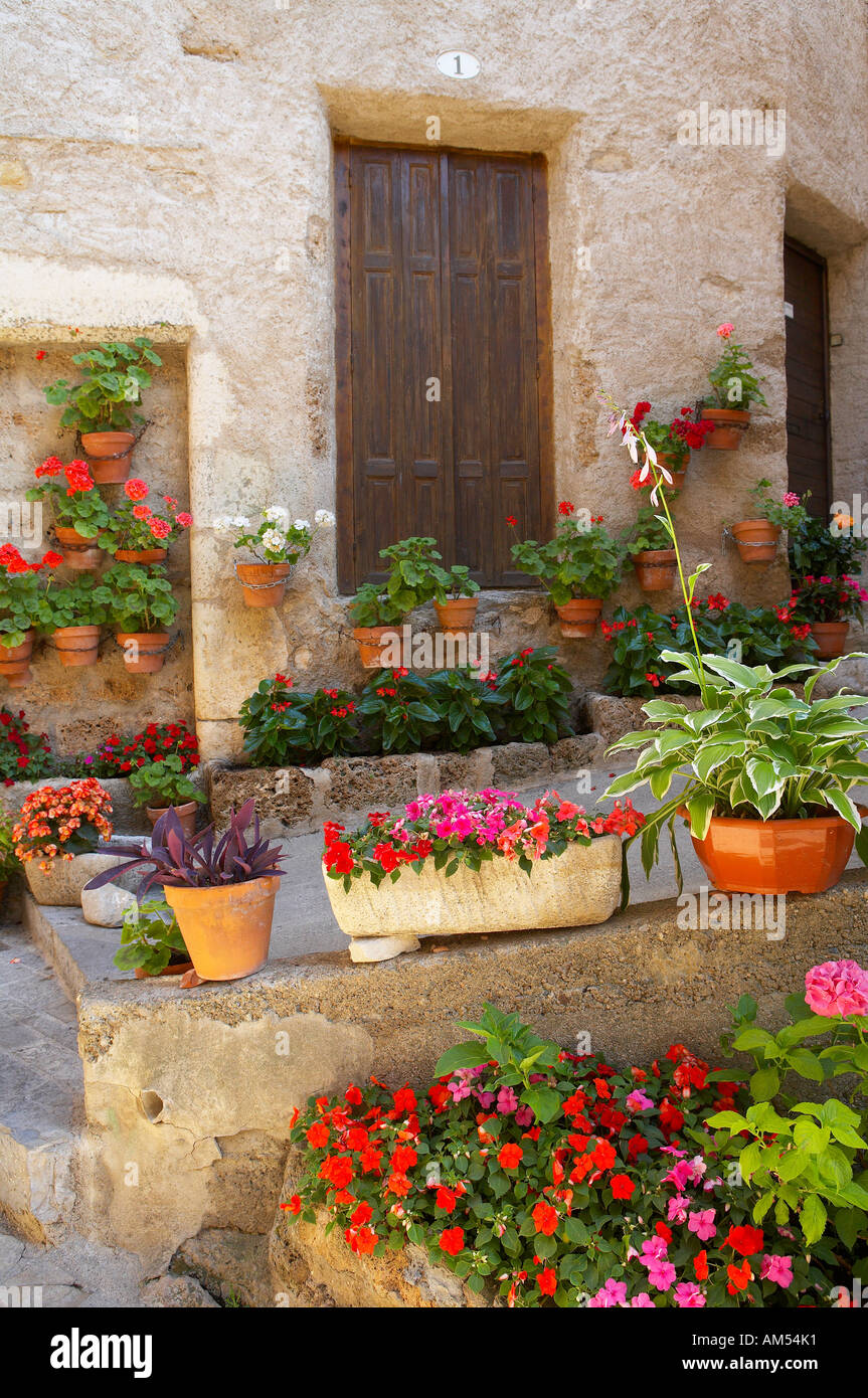 Piante in vaso in un vicolo a Saint Guilhem le désert borgo medievale vallee de l Hérault nel Languedoc Francia NR Foto Stock