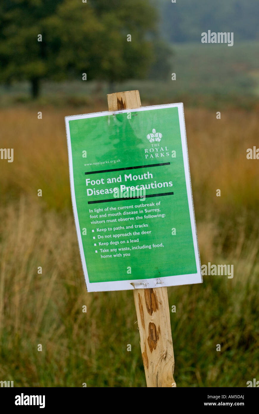 Afta epizootica Poster Foto Stock