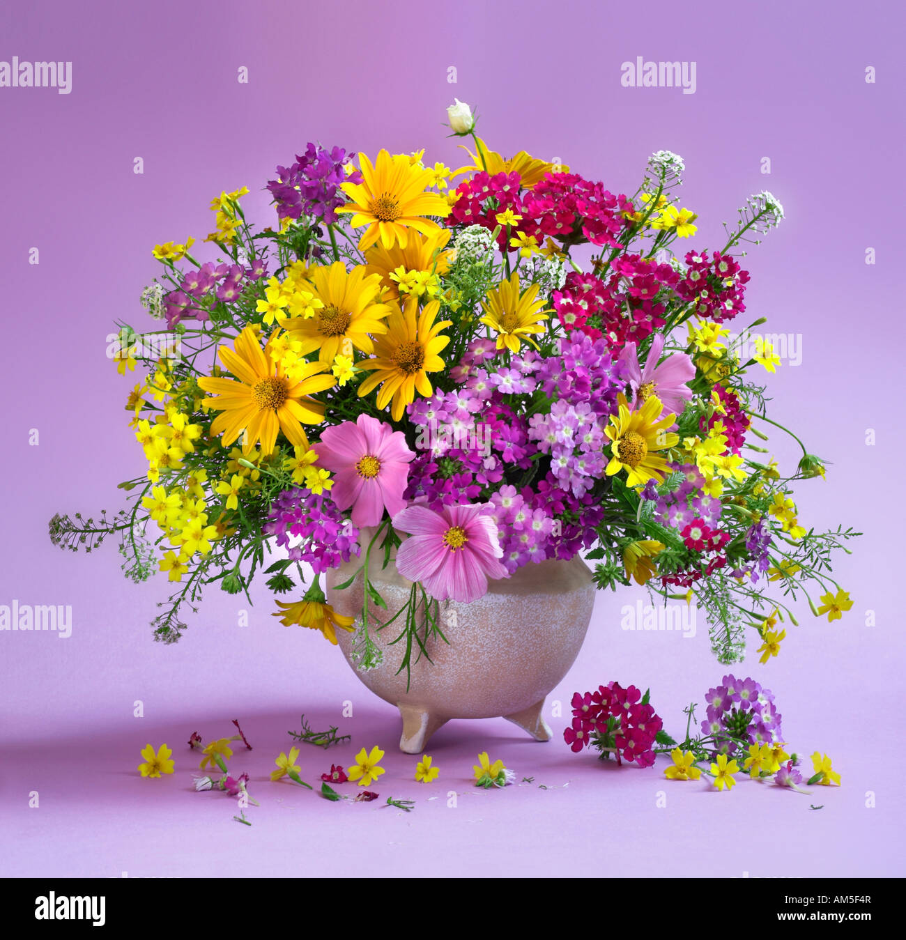 Studio disposti colorati mazzo bouquet di fioritura fiori di primavera su un viola sfondo pastello Foto Stock
