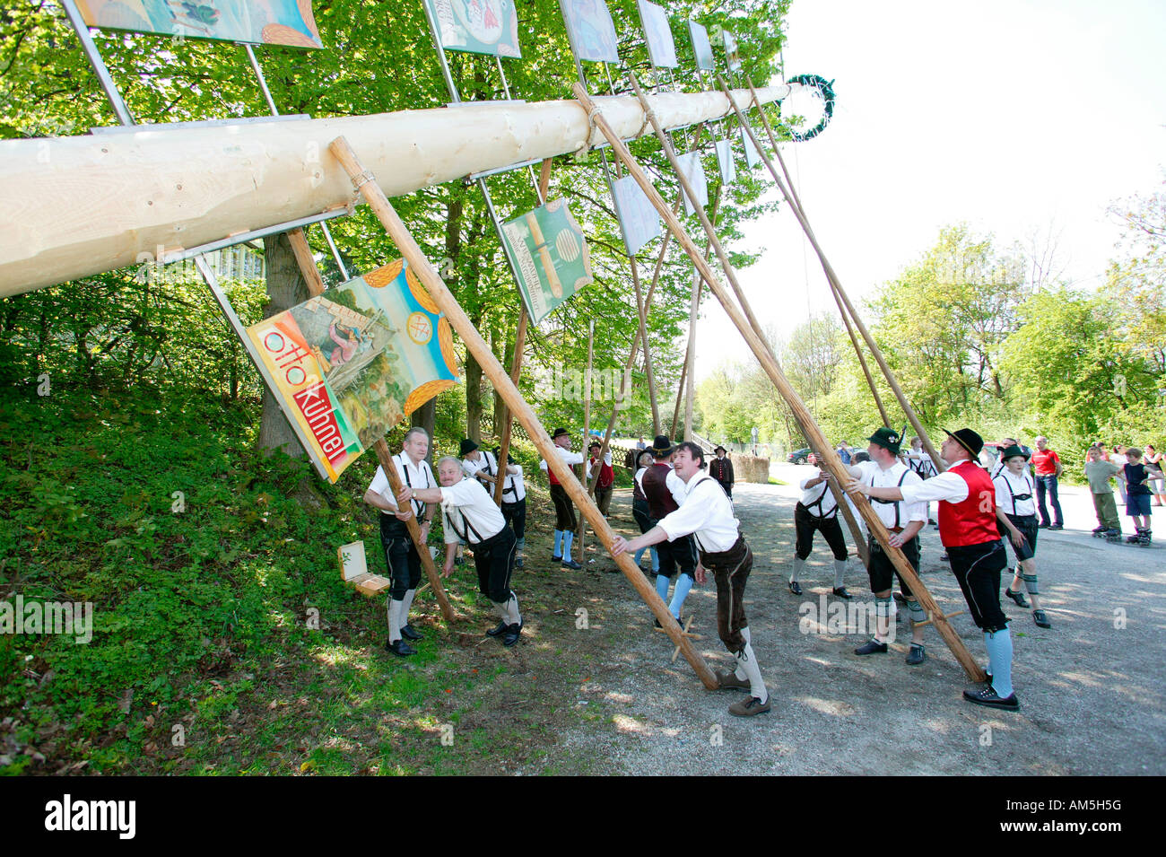 Impostazione del maypole, Graming, Alta Baviera, Baviera, Germania Foto Stock