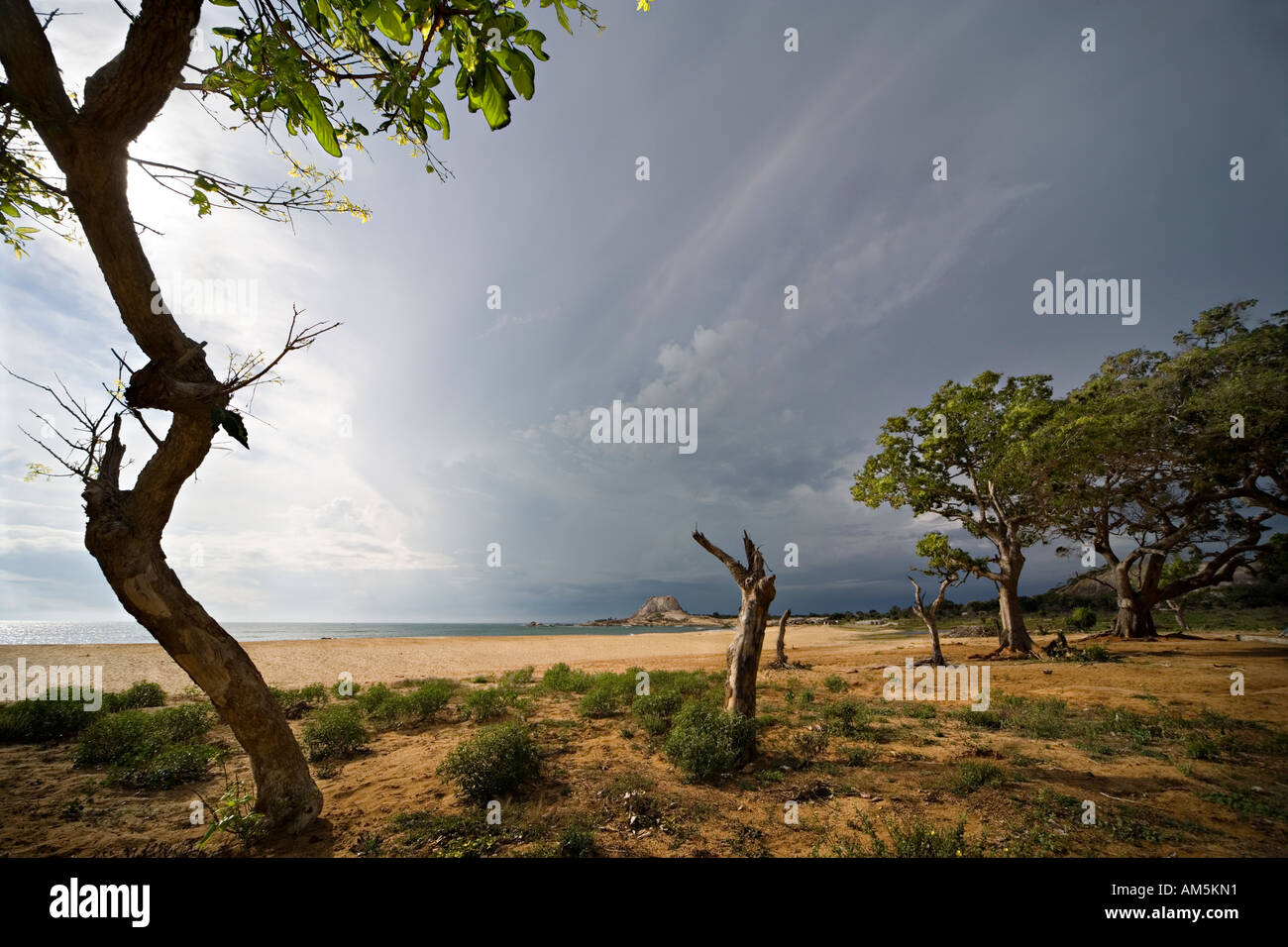 Nuvole temporalesche raccolta su una spiaggia deserta nel parco nazionale Yala Sri Lanka. Questo posto è stato colpito duramente dalla Boxing Day Tsunami. Foto Stock