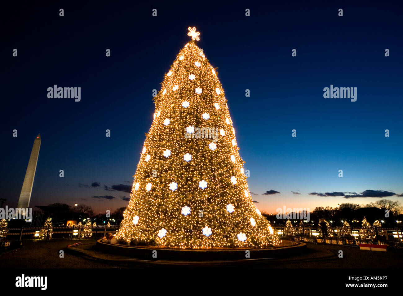 Immagine del tramonto della nazionale di albero di Natale in Washington DC con l'obelisco del Monumento di Washington sul National Mall. Foto Stock