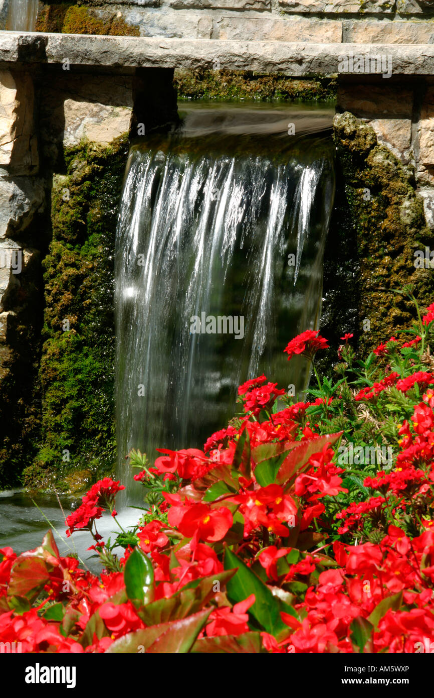 Fiori di colore rosso in corrispondenza di una piccola cascata in un giardino Foto Stock