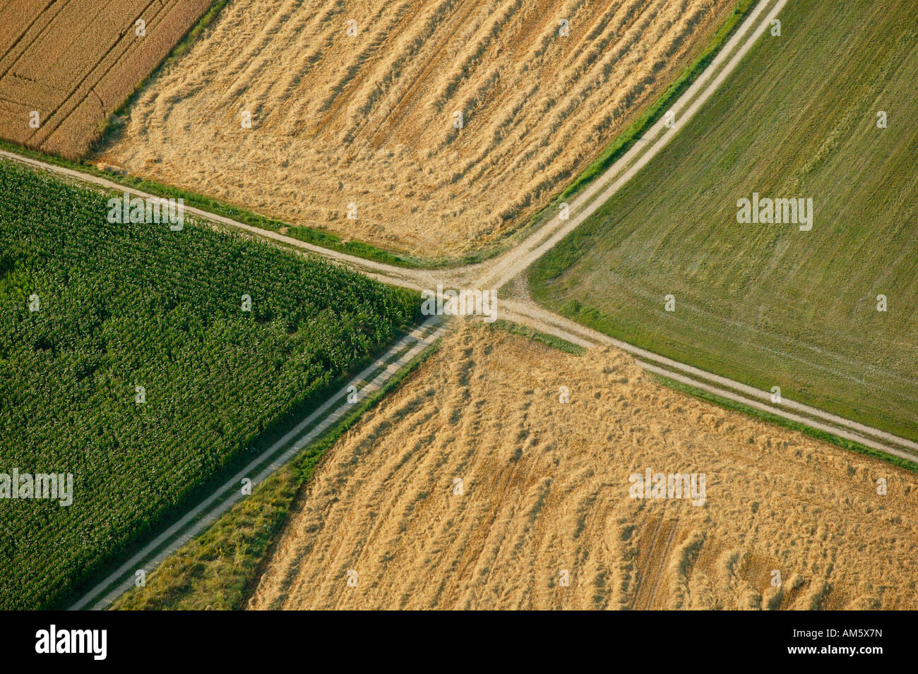 Percorsi agricoli dividendo i diversi campi, Baviera, Germania Foto Stock