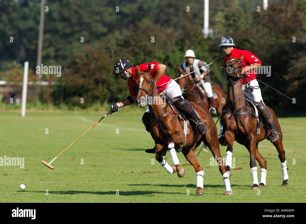 Ricardo Balzano e Hector Crotto dal Team Deilmann, MS Deutschland, giocatore di polo, Polo torneo, Berenberg Alta meta tro Foto Stock