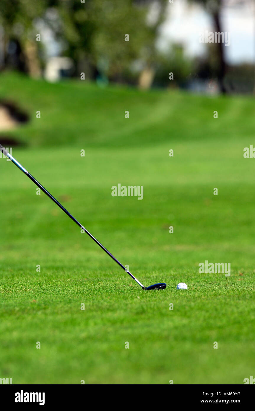 Il legno e la pallina da golf presso il fairway, campo da golf, Caorle, Veneto, Italia Foto Stock