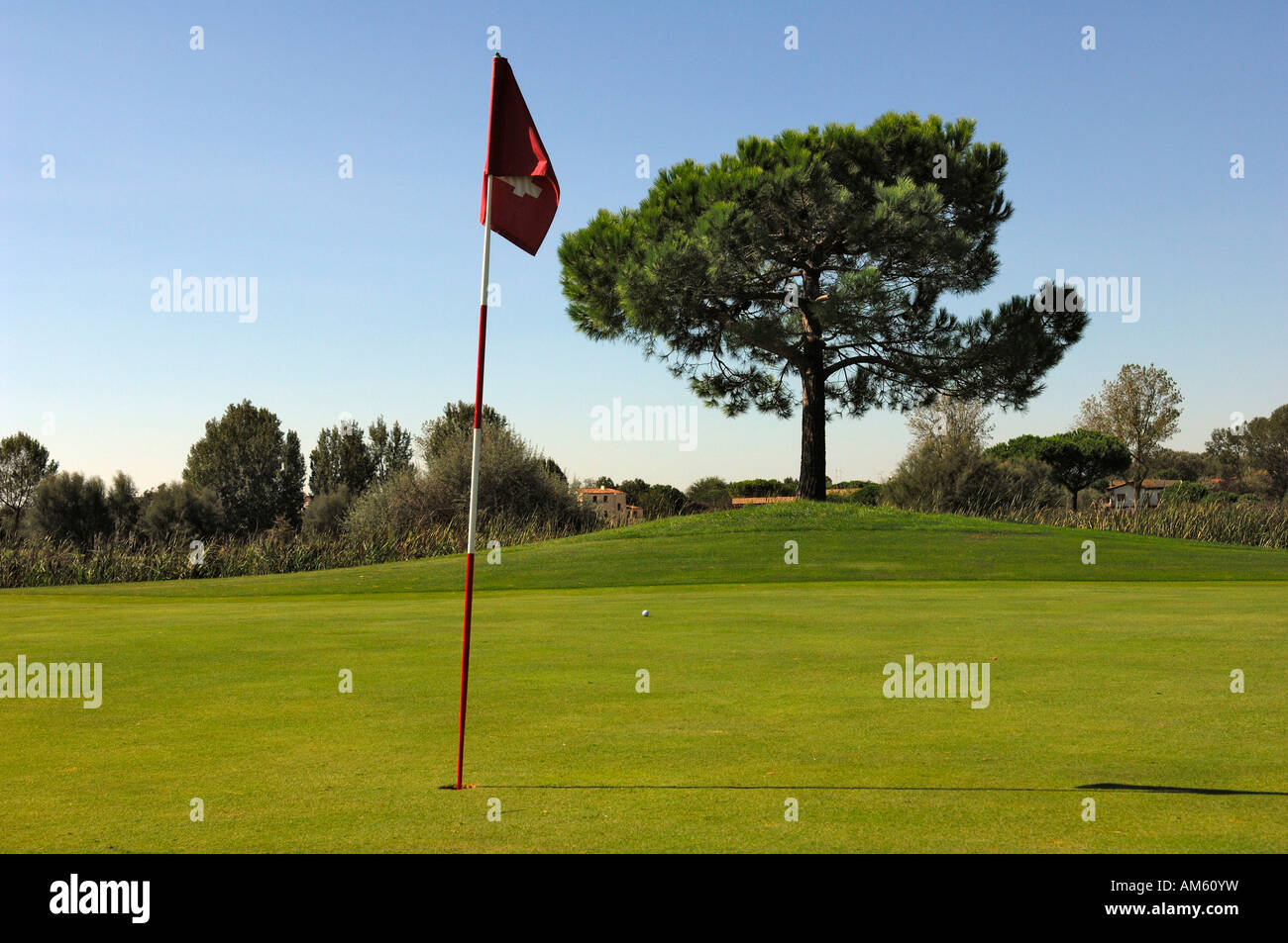 Puttinggreen con bandiera, campo da golf, Caorle, Veneto, Italia Foto Stock