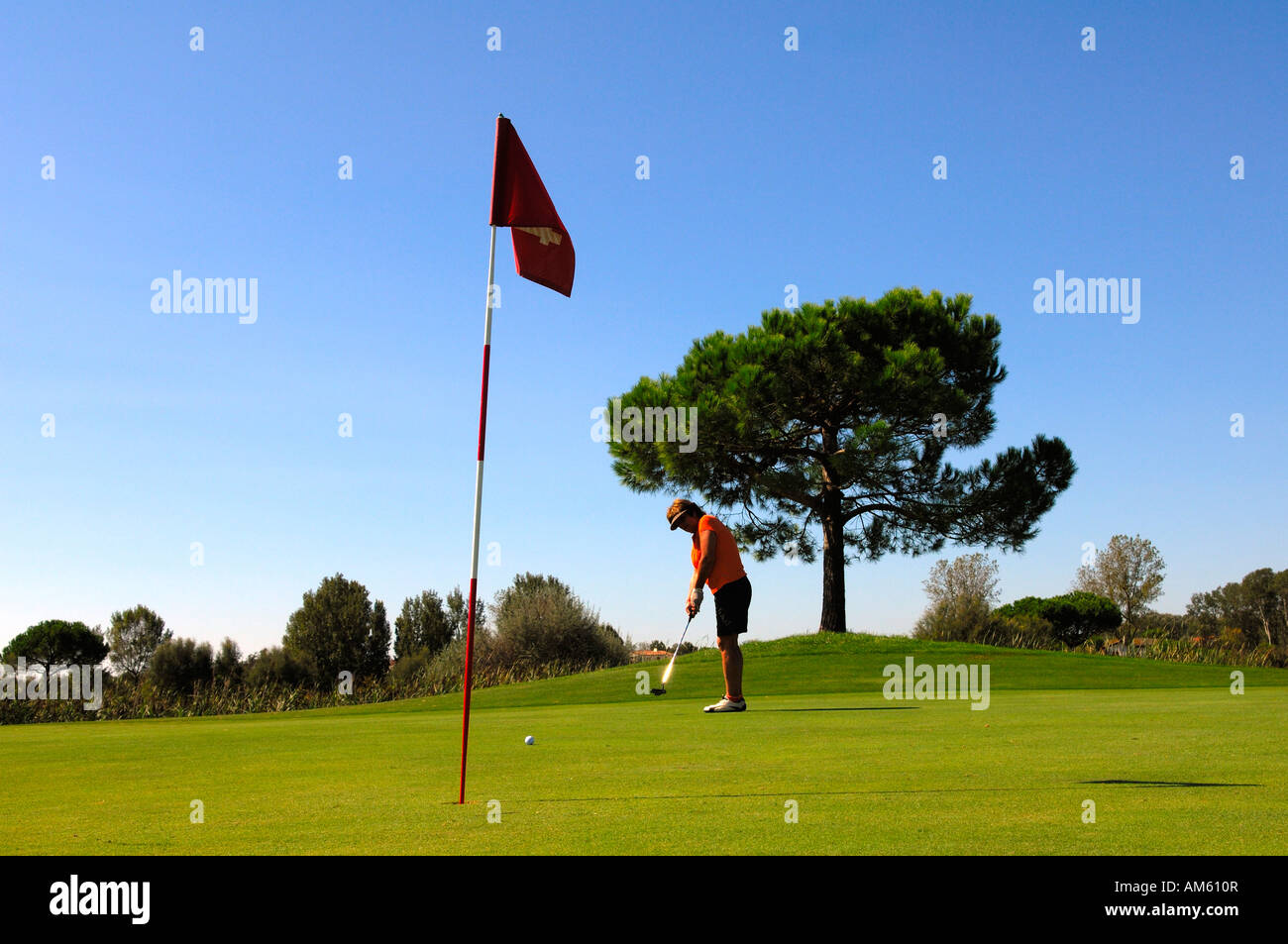 Il Golfer messa la sfera, il campo da golf, Caorle, Veneto, Italia Foto Stock