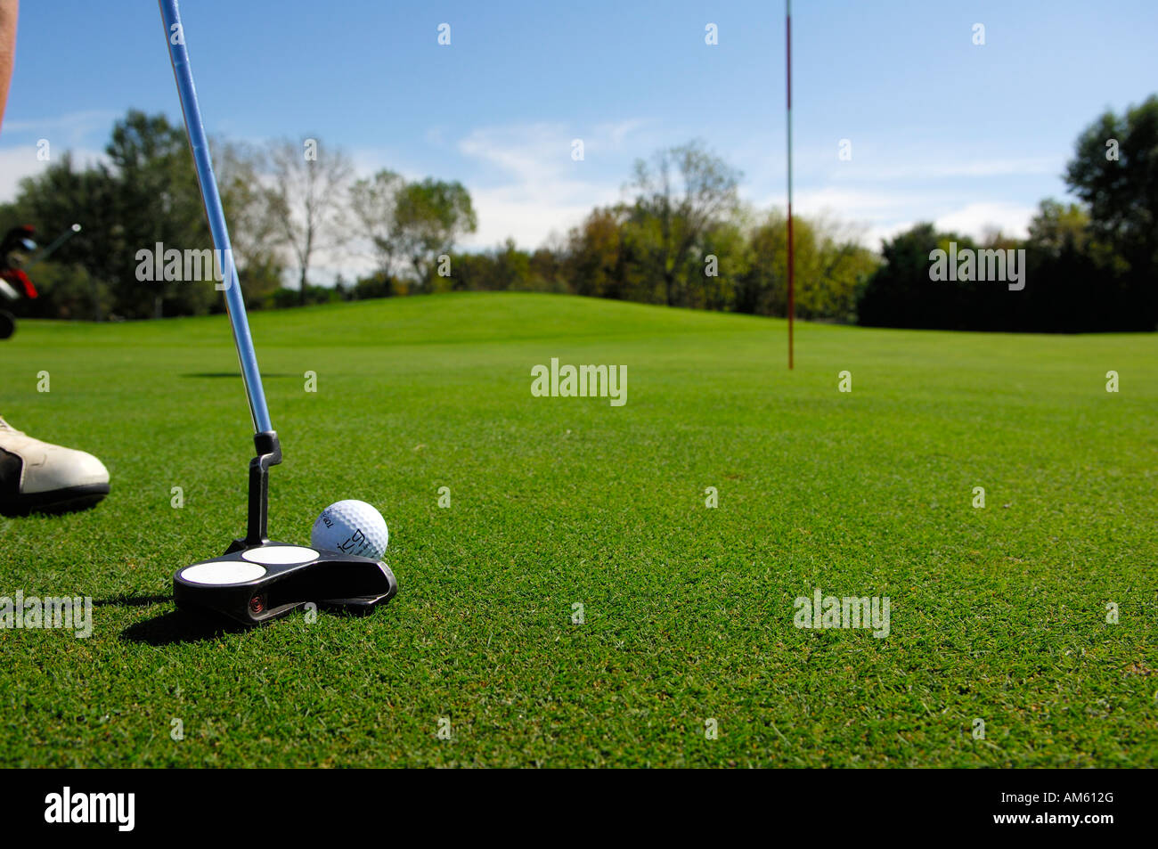 Il Golfer messa la sfera, il campo da golf, Caorle, Veneto, Italia Foto Stock