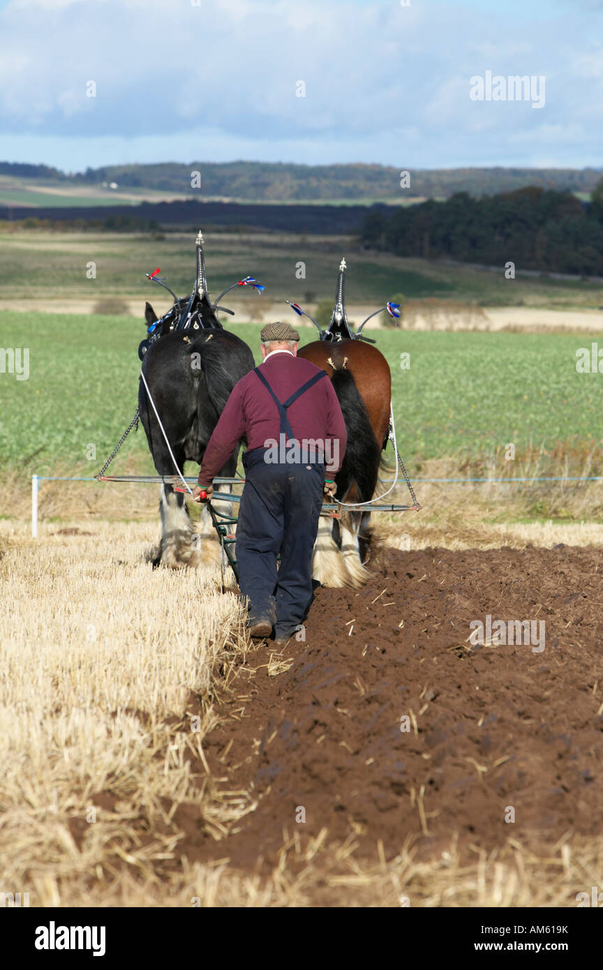 Cavallo aratro al 2007 scozzese campionati di aratura svoltasi a Pusk Farm, Balmullo, St Andrews Fife, Scozia, Regno Unito Foto Stock