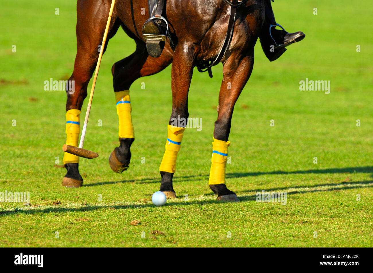 Giocatore di polo, Polo torneo, Berenberg Alta meta Trophy 2007, Thann, Holzkirchen, Alta Baviera, Baviera, Germania Foto Stock