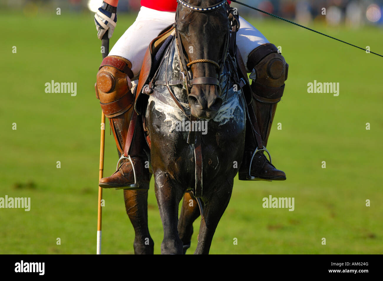 Giocatore di polo, Polo torneo, Berenberg Alta meta Trophy 2007, Thann, Holzkirchen, Alta Baviera, Baviera, Germania Foto Stock