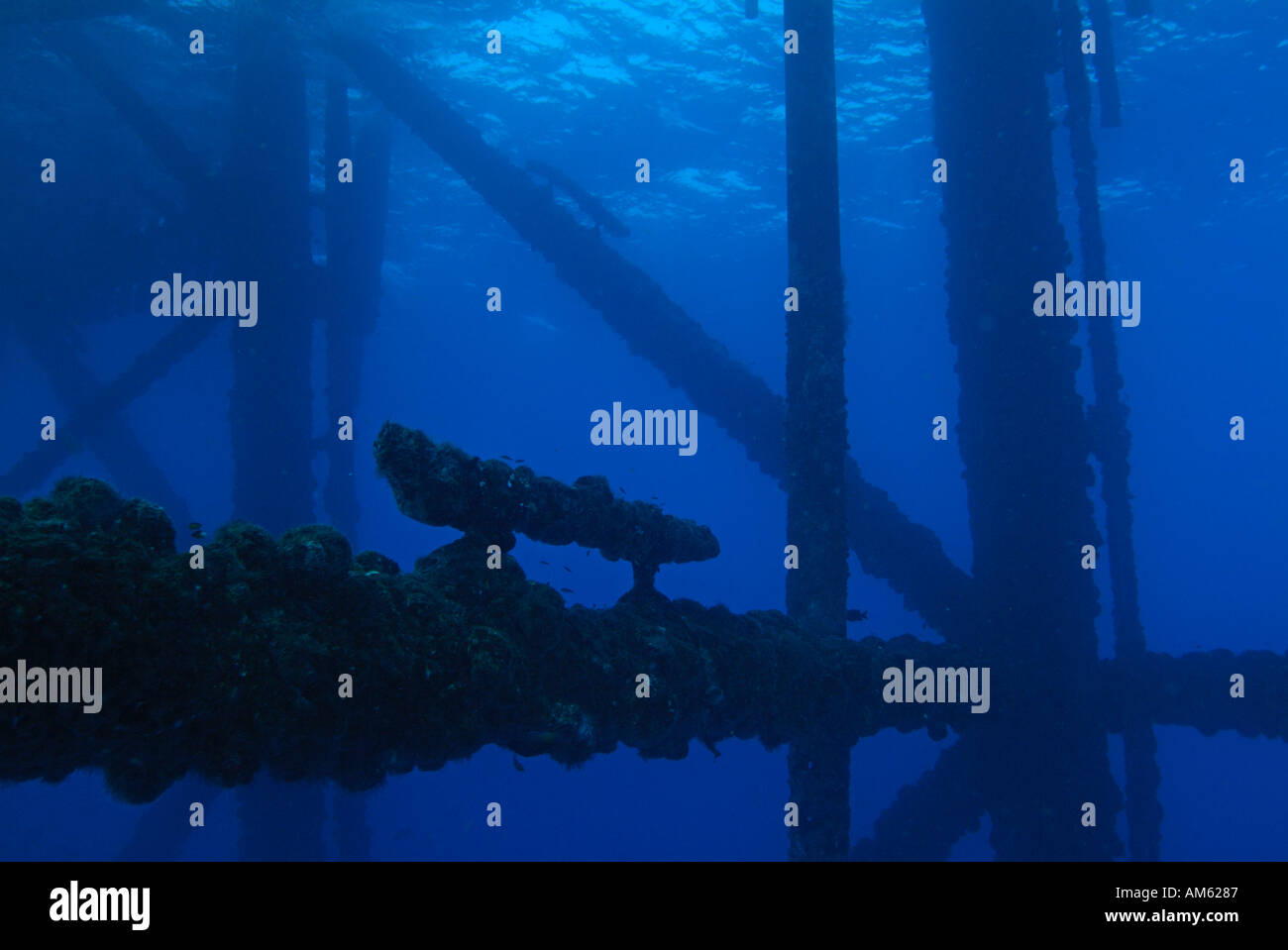 Le gambe di un impianto di perforazione nel Golfo del Messico, off Texas Foto Stock