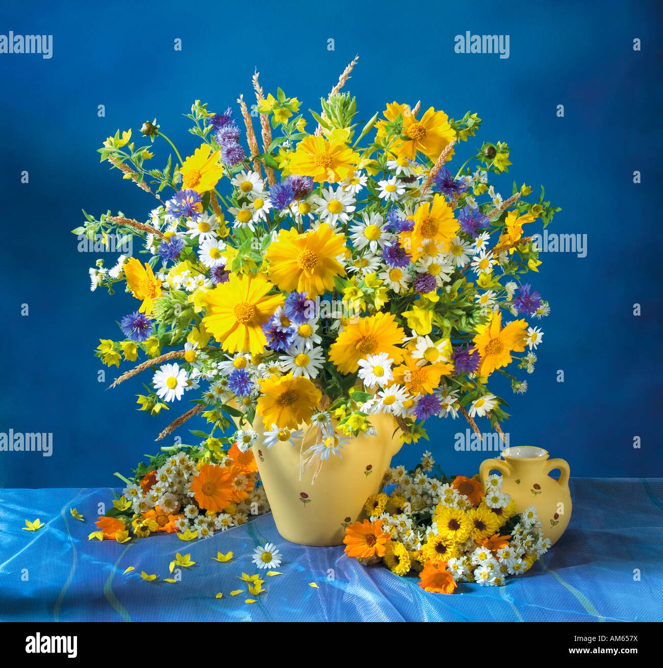 Studio disposti in giallo e bianco bouquet di primavera in fiore fiori in un vaso su uno sfondo blu Foto Stock