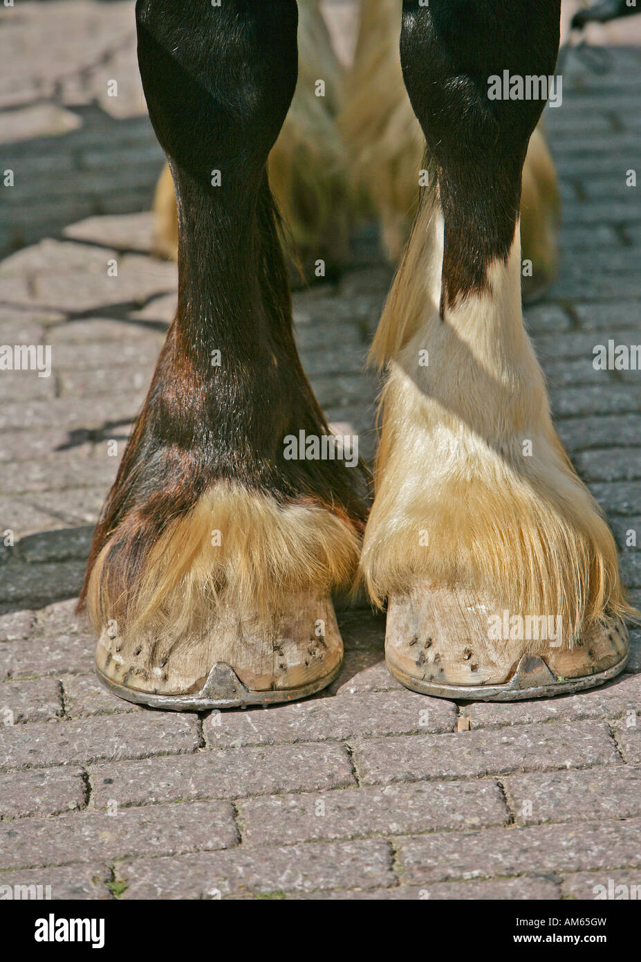 Protec Microsystems Scarpe Protettive In Gomma Per Zoccoli Di