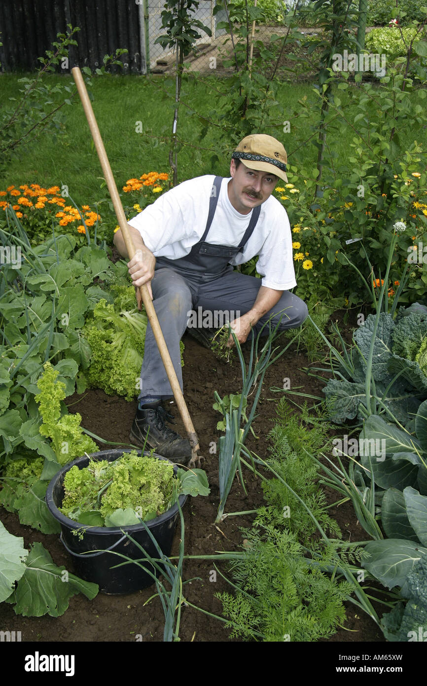 Giardiniere lavora in un paese ecologico giardino, coltivazione di ortaggi nel proprio giardino Foto Stock